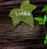 Links to other Fairy Sites