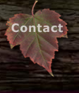 Contact Me